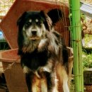 황락농장 이미지