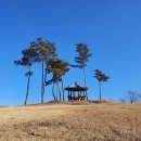 포리 소공원 이미지