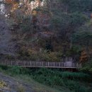 용소웰빙공원 이미지