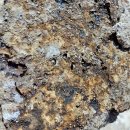 파주역 | 파주역 빌라 벽 곰팡이 누수 원인, 테라스 방수 재시공으로 완벽 해결!