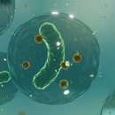 중앙빌딩(중앙사우나) 이미지