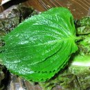 서남시장 이미지