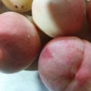 갈촌농장 이미지