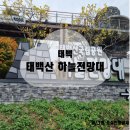 [태백]온가족이 함께, 태백산 하늘전망대