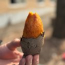 개울농장 가기전 | [경기도-양평] 서울근교 이색 여행 경기도 이색데이트 양평 촌캉스 외갓집체험마을 1박2일 후기(2월 방문)