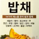 한손팜