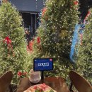 부곡(대창) 이미지