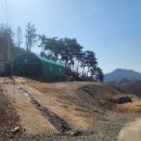 부등 농장 이미지