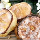 월드 건강식품점 이미지