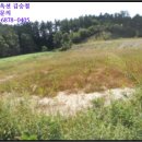 덕상2리 장봉 이미지