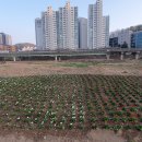 하천(충훈2교) 이미지