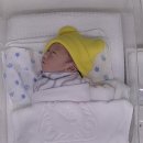 아워홈대하 | 동탄 노블아이 산후조리원 (리베라 CC뷰) 후기