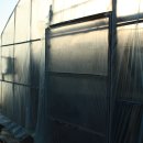 늘푸른농장2 이미지