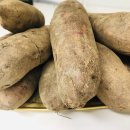 합심농장 이미지