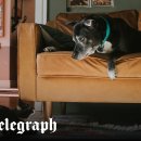 STAY Boxing 이미지