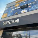 양지고메 이미지