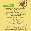 뮤지컬 목 짧은 기린 지피 | [감성뮤지컬] 목 짧은 기린 지피 - 성남(분당) 한국잡월드 나래울극장