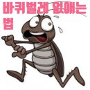 특청사 이미지