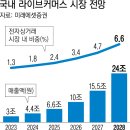 쇼핑스토어
