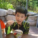 무림태권도장 이미지