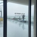 강릉 사근진해변 바로 앞 백야커피 방문 후기: 빵이 왕많고 바다가 바로 보여요