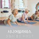 시니어 필라테스 이미지