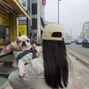 코코브레드 이미지