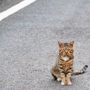 현충원역 3번출구 이미지