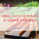 비육단지 이미지