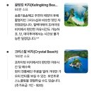 🇮🇩 발리여행 / Day4 / 누사페니다 / 엔젤스빌라봉, 브로큰 비치, 켈링킹 비치, 스노쿨링, 사누르에서...