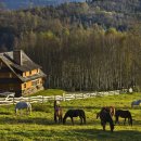 털보농장 이미지