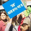 고래배꼽체험학습장