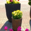 정발산역 이미지