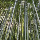 여기우리펜션 이미지