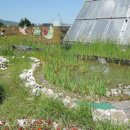 서구청 옥상생태공원 이미지