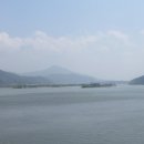 꽃기운