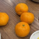 대명로 올리브영 앞 | 대명동맛집 믿고먹는 현풍닭칼국수