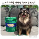 수덴탈 | 강아지간식추천 네이처트레이스 스파이더웹 덴탈바 솔직 후기