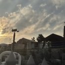 에이디디 관광농원 이미지