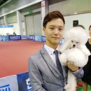 애견샵 어린왕자 이미지