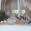 도그필드 | 창원 애견카페인 도그 필드를 다녀왔는데요?