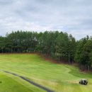 그라운드 골프아카데미 이미지