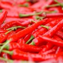 신일상사 이미지