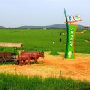 공업탑로터리(남측) 이미지