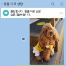 레스토랑펍피 이미지
