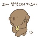 강원대주변 이미지