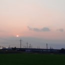 산유화농장 이미지