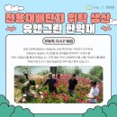 새롬유치원 | 소아 감정기복 멜트다운·감정조절, 대전맘들이 놓치기 쉬운 초기 신호