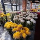 파인클라우드 이미지