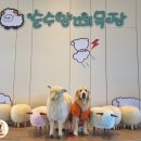 보리목장2 이미지